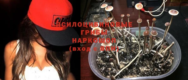 каннабис Каменск-Шахтинский