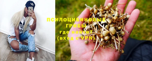 твердый Касимов