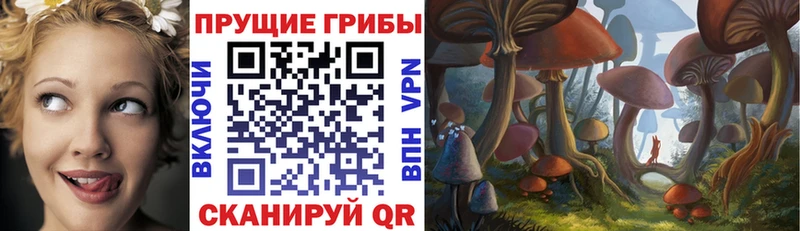Галлюциногенные грибы Cubensis  мега маркетплейс  Кизляр 